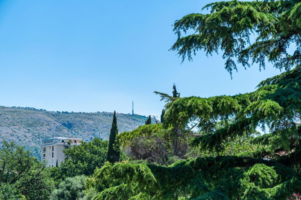 Apartments Zadro Dubrovník Exteriér fotografie